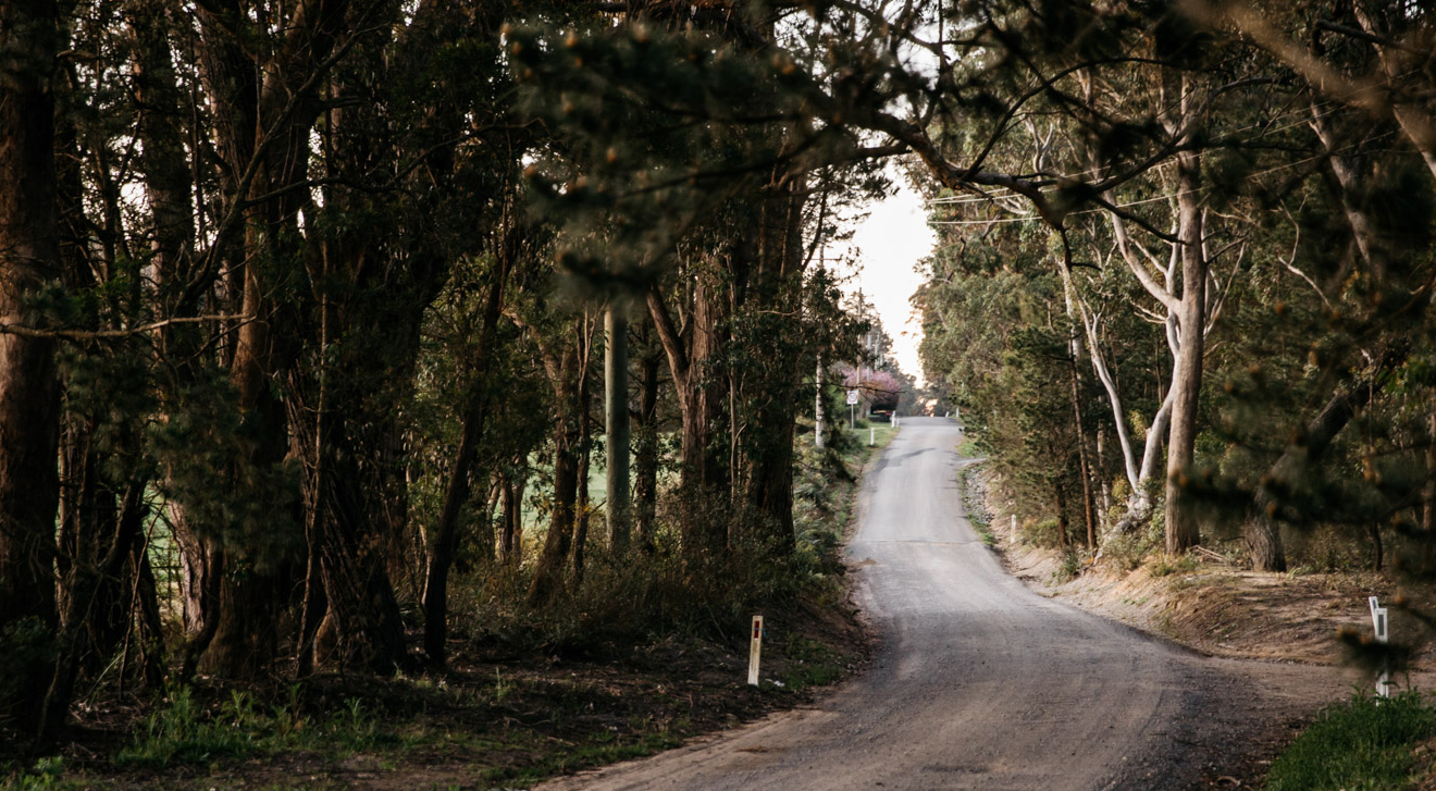 Littlewoods Littlewoods Wingello