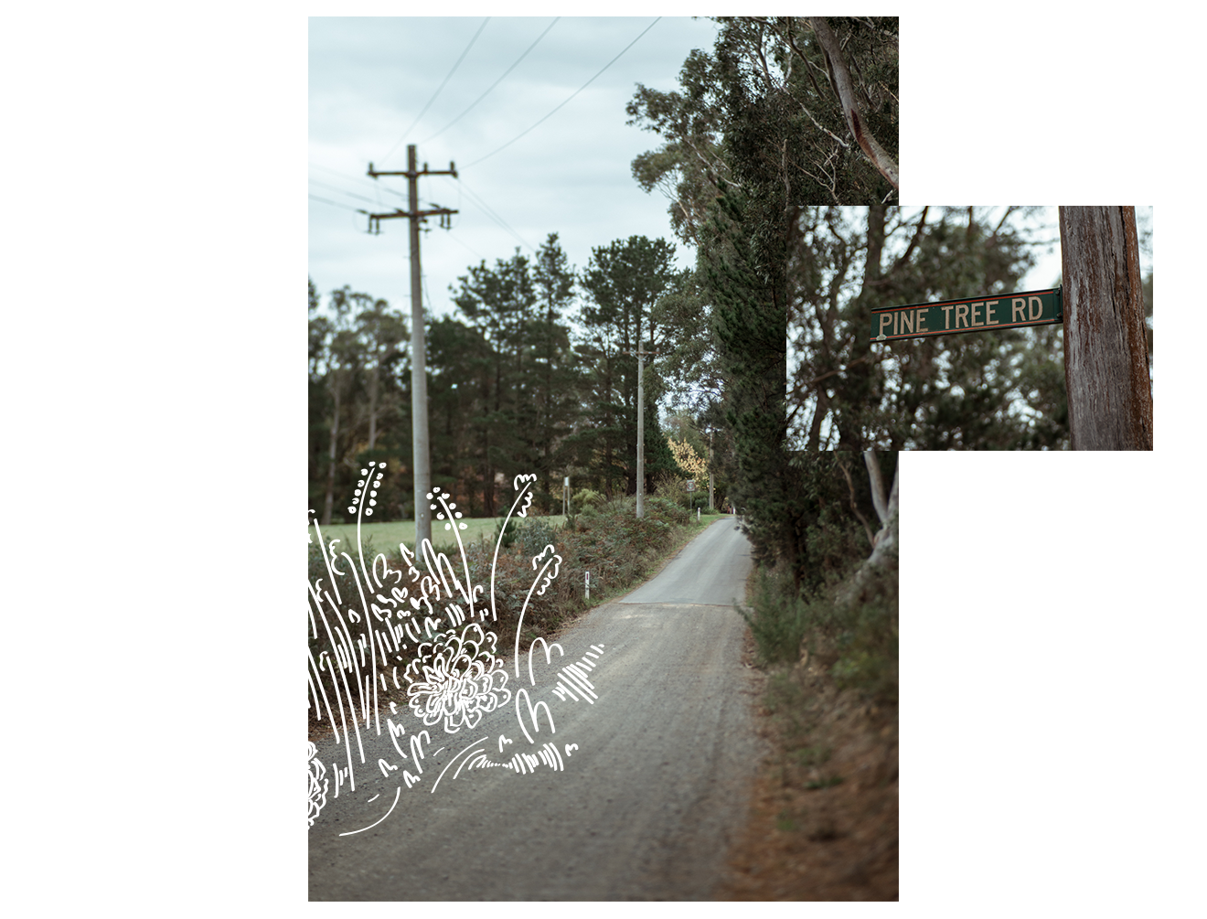 Littlewoods Littlewoodsu00 Wingello